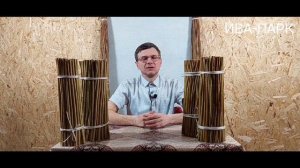 ИВА-ПАРК. ИВА АМЕРИКАНКА ГИГАНТСКАЯ, РАЗНОВИДНОСТИ.