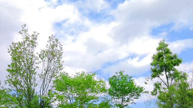 Under The Sky (Pete Sinfield) / Echo Music Basket (featuring Sen) (2010.7.18) смотреть онлайн