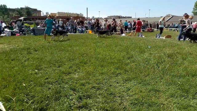 3 июня 2018 г.[1] смотреть онлайн