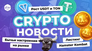 Бычьи настроения на рынке. Рост USDT и TON. Листинг Hamster Kombat. | Криптоновости EXMO.me