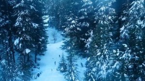 Is it Good or Bad Idea to Visit Manali | Shimla | Kasol in December ?