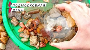 Камни под лупой. Много агатов и халцедонов. Изучаем камни на подмосковной даче