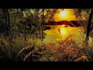 Ветер пахнул чебрецом и смородиной