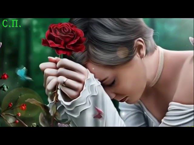 Роза в уличной пыли Неизвестен 70 е смотреть онлайн