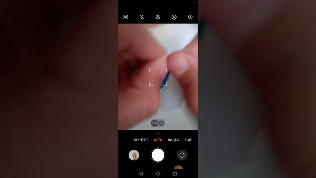 Пакетики часть 2 (плюс мой хомяк). Кстати нашли тимоху и его пирожок?
