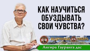 Как научиться обуздывать свои чувства?