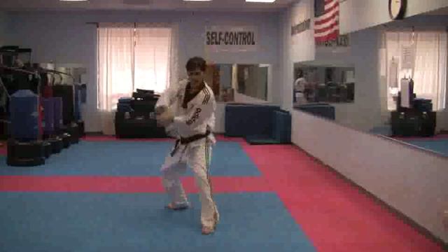 Brown Belt Sword Form смотреть онлайн