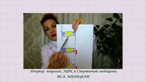 ГРЫЖА  ШМОРЛЯ