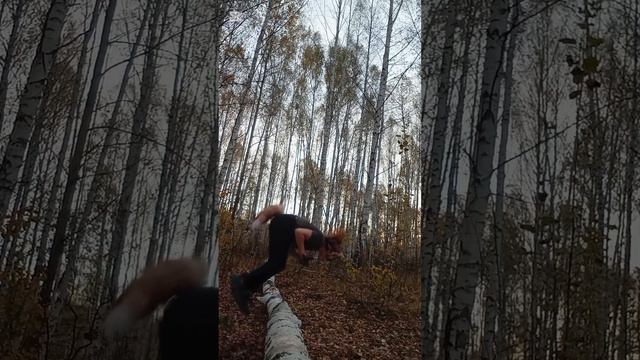 Лес мой второй дом!🍀🌿🍃💚 смотреть онлайн