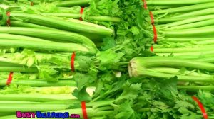 _Apples Are Yummy_ - Learn Fruits & Vegetables, Kids Song for Babies & Toddlers