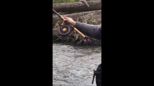 Centerpin Casting and Techniques Featuring Danny Colville Of Colville Outfitters