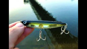 Копия - Seaspin Pro-Q 90 и 120 - Отличный walker (волкер) с Алиэкспресс #lure