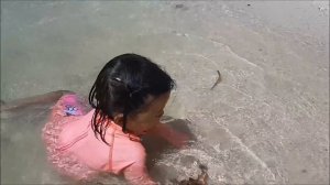 Baby Playing Star Fish and Beach Sand - Donna The Explorer