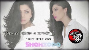 Shahzoda - Между небом и землей _ Red Tiger remix