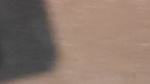 Тараканы ползут из бака.