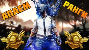 Цель одна топ 1 в PUBG: Battlegrounds