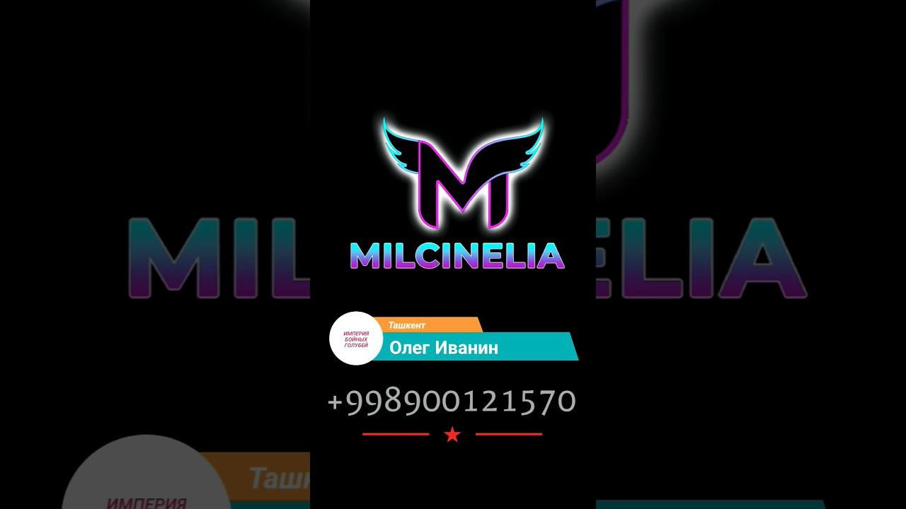 ГОЛУБИ ТАШКЕНТА ОЛЕГ ИВАНИН ВЗРЫВ МОЗГА. смотреть онлайн