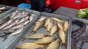 Узбекистан! Наманган! «Чорсу» рынок, купили рыбу, зелень и домашние лепёшки, гуляем по парку