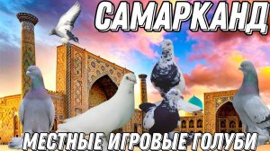 Бойные голуби Самарканда. Игровой Д.Исмат. Немного юмора