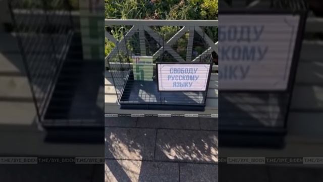 «Свободу русскому языку!»: смотрите, что появилось в центре Киева. Этого не ожидал никто