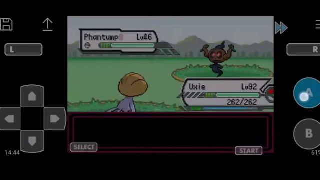 HOW TO MEGA EVOLVE AND DYNAMAX POKEMON IN POKEMON LAST FIRE RED