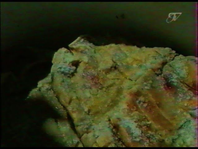 1999 сюжет Операция Путина  ПОГОН Калмыкия