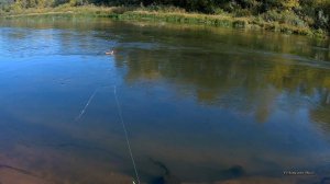 Эксперимент с корабликом на реке Самара. Кораблик с воблерами. Хищник на живца. #5