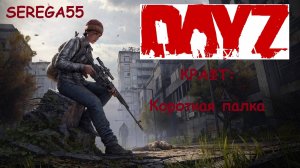 DayZ Как сделать короткую палку