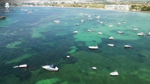 Reggae Summer Memories - Natty Bong