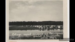 Назад в детство. Александр Парфенов.