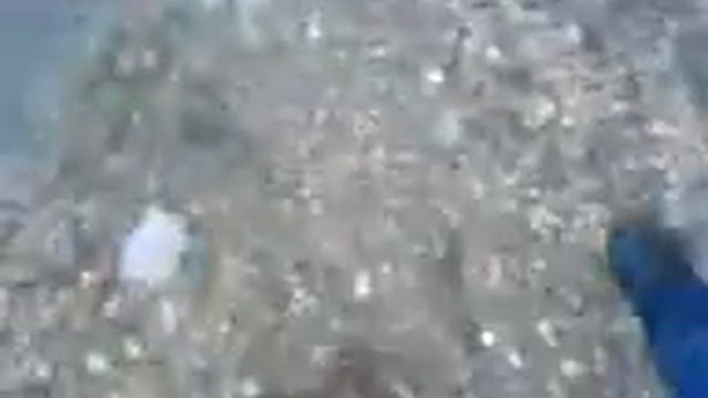 Dikke snoek op de Ultra-Light. смотреть онлайн