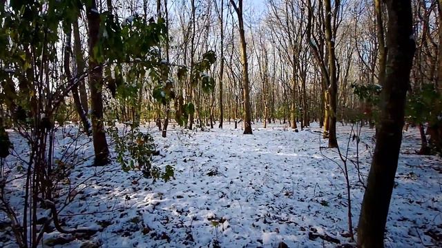 William Lawes: Symphony (mandole and bandora) смотреть онлайн