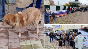 Митинг против живодеров (г.Иркутск)