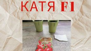 Томат Катя от посева до сбора урожая