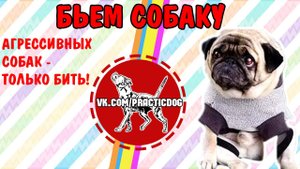 Дрессировка собак 18+  | кинолог издевается над собакой