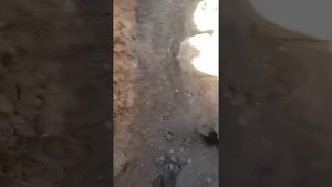 Азоби Кабр
