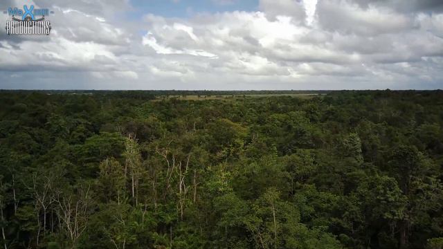 Flying at Bigi kroetoe (recreatieoord) district Para, Suriname смотреть онлайн