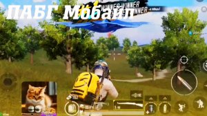 ПАБГ Мобайл Кватро #pubgmobile