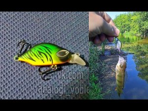 Копия - BASSDAY KANGOKU MINNOW - воблер ультралайт - который сыплется на падении! #lure
