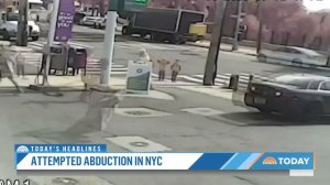 Video Shows Attempted Child Abduction In New York City