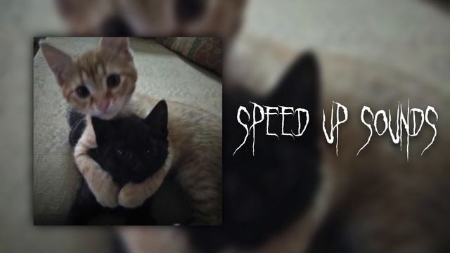 lovv66 - сэккс (speed up)☆ смотреть онлайн