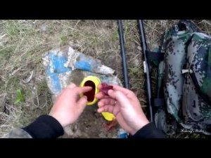 Рыбалка на донку на куриную печень. Голавль выходит из ям на мелководья. Голавль на печень #4