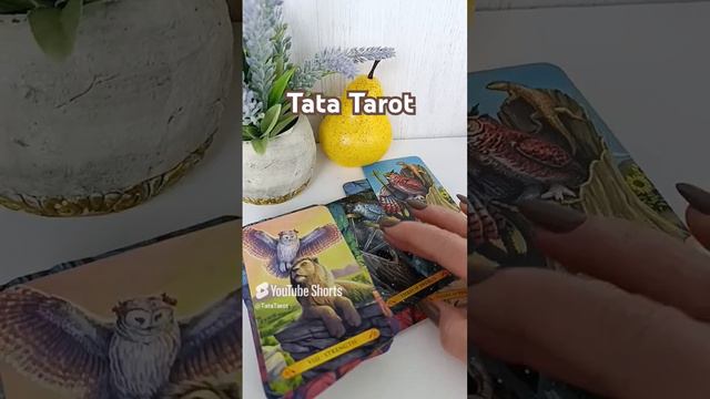 Какую тайну пришло время играть 💥 #таро #tarot #эзотерика #магия #минск #таролог #тароонлайн #гадан