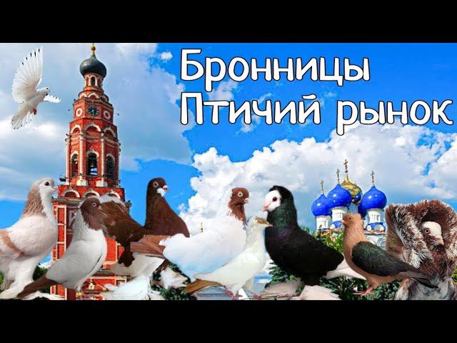 Птичий рынок-Бронницы. Очень мало молодых голубеводов.Удивили своим позитивом и добротой! Россия