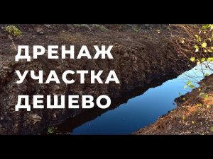 Как сделать недорогой дренаж участка? Водоотведение на глине. Расположение дрен. Валдайский Мастер.