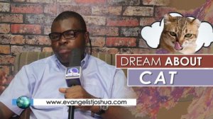 DREAM ABOUT CAT  - Find Out The Biblical Dream Meaning