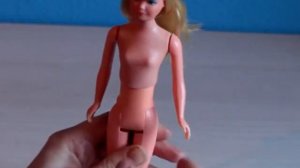 Growing Up Skipper background information | One of the most controversial Barbie doll ever produced