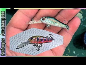 Копия - Zipbaits Rigge DEEP 35F (Holiday) - мини воблер на голавля и окуня , язя с Алиэкспресс #lure