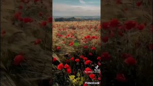 ты до боли нежная