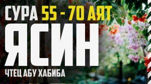 Cура Ясин 55-70 аят. Абу Хабиба